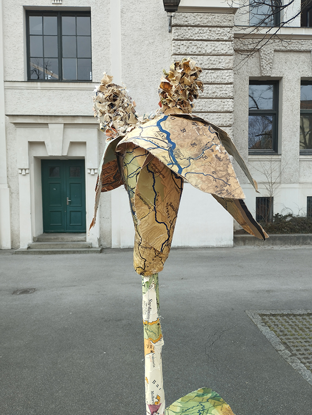 03 Europa Lilie 02 Kopie