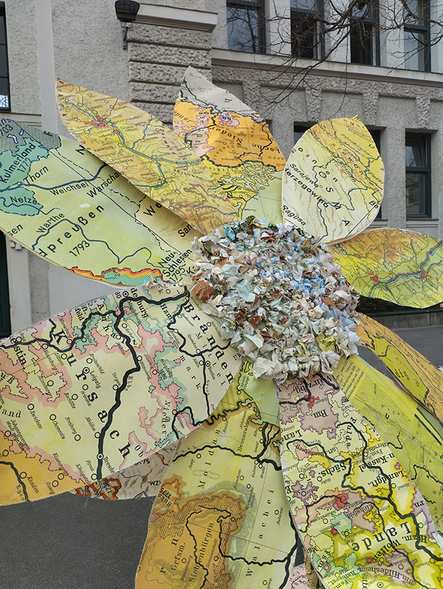 05 Europa Sonnenblume 2 02 Kopie