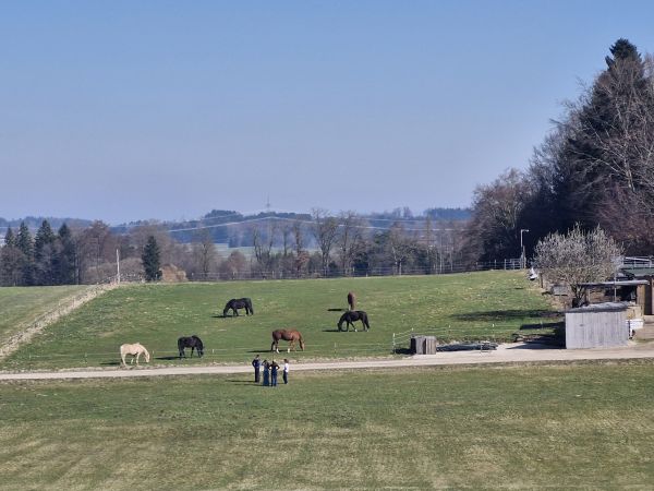 Orientierungstage 26 2